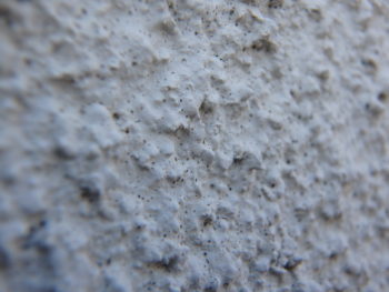 徳島県　かちどき橋　施工前　外壁　アップ　汚れ