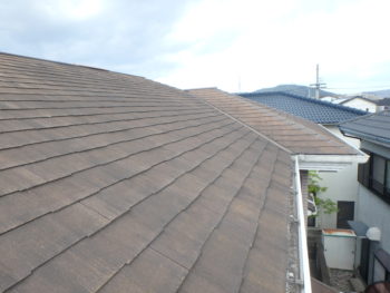 徳島県　施行前　屋根　苔