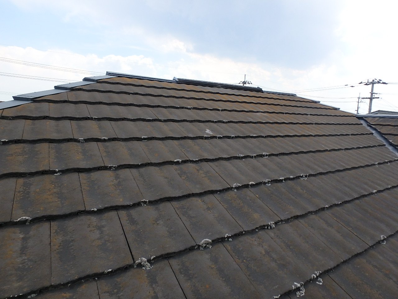 徳島県　松茂町　施工前　屋根　苔