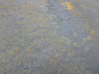 徳島県　松茂町　施工前　屋根　アップ