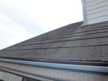 徳島県　藍住町　施工前　屋根　苔