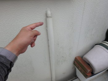 徳島県　藍住町　施工前　外壁　苔　汚れ