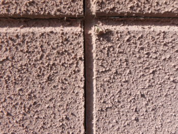 徳島県　鳴門市　施工前　コーキング　目地