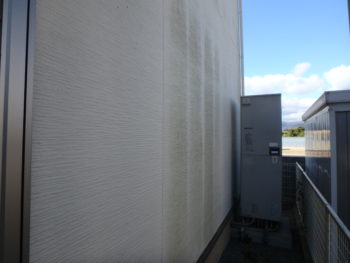 徳島県　藍住町　施工前　外壁　苔