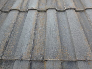 徳島県 八万町 施工前 屋根 苔