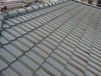 徳島県　石井町　施工前　屋根　苔