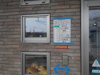 徳島県　城東町　病院　コーキング　施工前