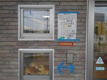 徳島県　城東町　病院　コーキング　施工後