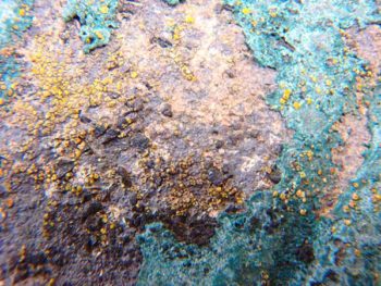 徳島県　大麻町　施行前　屋根　アップ