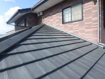 徳島県 松茂町 施工前 屋根 苔