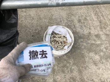 徳島県　沖洲町　コーキング　撤去　土嚢袋