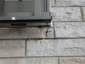 徳島県　名東町　施行前　外壁　目地