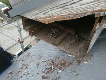 徳島県 板野郡 板金工事 木部 撤去