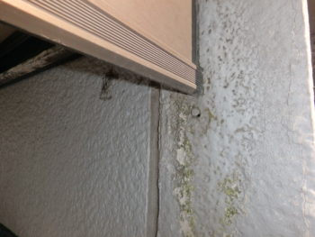 徳島 塗装 コーキング 外壁 屋根