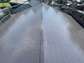 徳島　阿南市　外壁　長生町　屋根