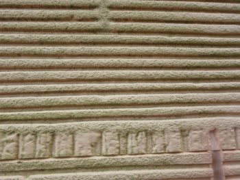 コケ 洗浄 外壁 劣化