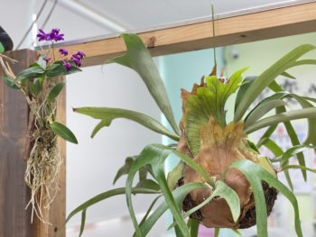 中山コーティング店舗