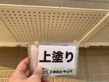 カバー　軒天　雨樋