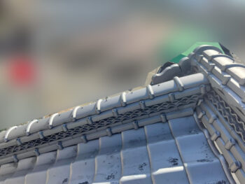 草　除去　屋根