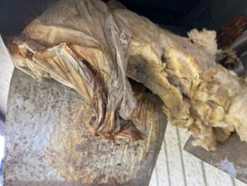 断熱材 軒天 錆 修繕 養生