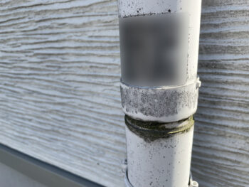 苔　雨樋　外壁　コーキング　防水