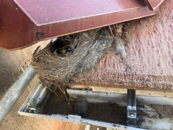 徳島｜塗装｜AGC｜ボンフロン｜中山コーティング