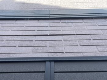 苔 チョーキング 施工前 割れ 浮き 現調