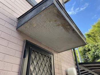 チョーキング 苔 割れ 浮き 現調 施工前