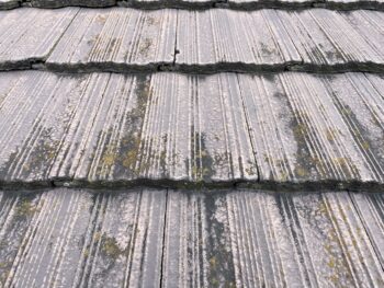 苔 家 劣化 傷み 施工前