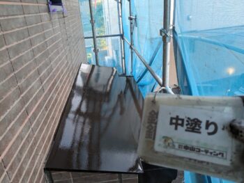 塗装 鼻隠し 庇 軒天 付帯 水切り 雨樋