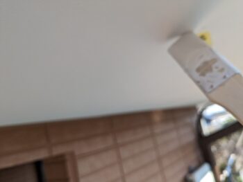 外壁 軒天 屋根 雨樋 タッチアップ 検査