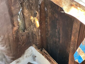 阿南市｜宝田町｜塗装｜色合い｜施工方法