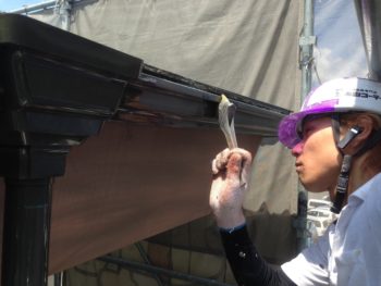 徳島　中山コーティング　塗装　塗り替え　雨樋