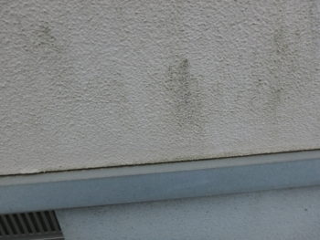 徳島県　施工前　外壁　カビ