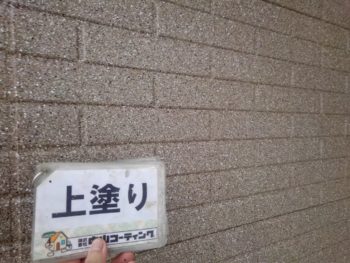 外壁　玄関　吹き付け後　上塗り　徳島県