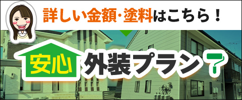 安心外装プラン