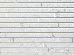 防カビ・防藻性