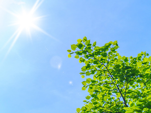 紫外線から住まいを守る