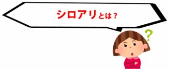 予防でシロアリ被害を防ぐ　7年～10年のお家は【ボロンDEガード】