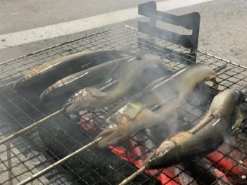 紫外線はお肌やお家の天敵！ガラスコーティング