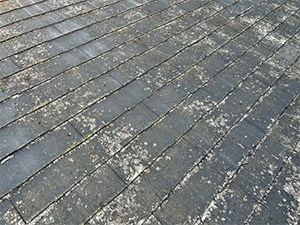 屋根葺き替えが必要なサイン