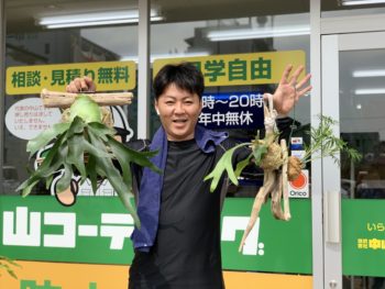 今年も一年ありがとうございました。