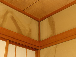 外壁雨漏りのサイン