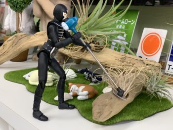 地域に貢献できる企業として邁進してまいりたいと思います。