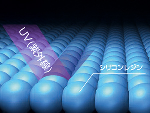 ラジカルを抑え劣化を抑制