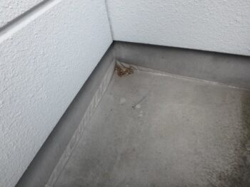 ベランダ防水シートが浮いています。