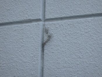 壁面にひび割れ箇所があります。