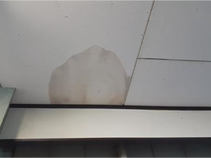 雨漏りは早期に解決を