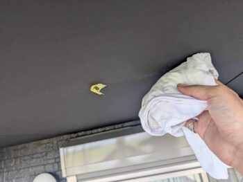 拭き取りを行います。