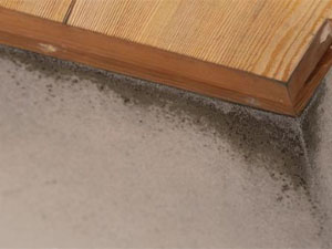 この症状は赤外線調査がおすすめ